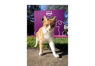 Shane Larkin'den “Gör Beni" Projesi'ne İlham Veren Destek: