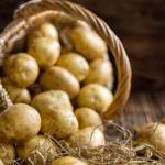 Ticaret Bakanlığı’ndan patates fiyatı açıklaması: ‘25 Liraya satıldığı’ iddiası yanlış