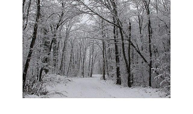 Ormanya'da kartpostallık kış manzaraları