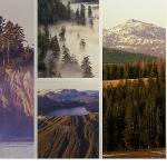 'Ulusal Parklar: Amerika Özel', 3 Mayıs Pazar Saat 20.00'de National Geographic WILD Ekranlarında İzleyicilerle Buluşuyor!