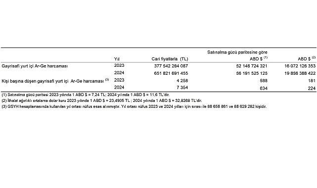 Araştırma-Geliştirme Faaliyetleri Araştırması, 2024