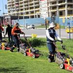 Çankaya Parklarında Çim Biçme Çalışması