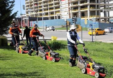 Çankaya Parklarında Çim Biçme Çalışması