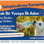 Bayrampaşa'da 'can dostlar' yuvalarını bekliyor