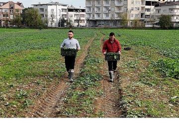 Osmangazi Belediyesi Doğal Üretimle Sofralara Sağlık Sunuyor
