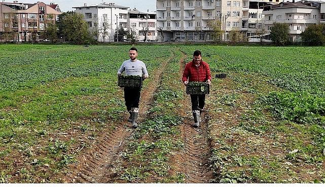 Osmangazi Belediyesi Doğal Üretimle Sofralara Sağlık Sunuyor