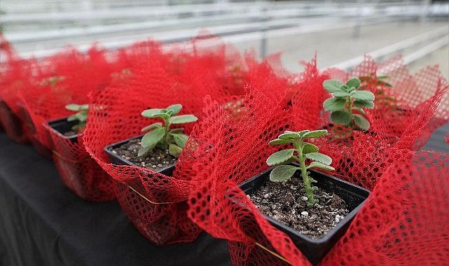 Keçiören'de Bilinçli Tarımsal Üretim İçin Eğitim Verildi