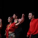 “Türkü Türkü Türkiyem Hemdem" konseri büyük beğeni topladı