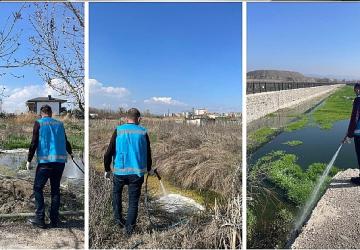 Haşereyle mücadele aralıksız sürüyor