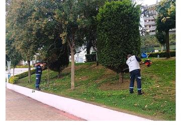 Büyükşehir'den yeşil alanlara özel bakım