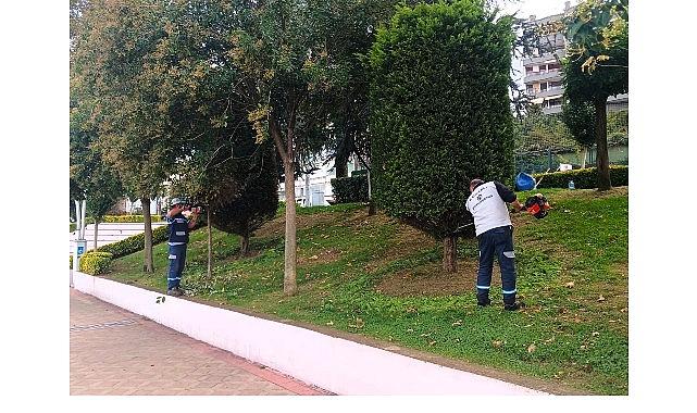 Büyükşehir'den yeşil alanlara özel bakım