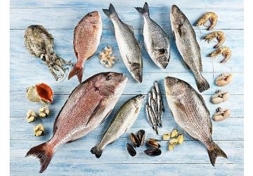 Su ürünleri ve hayvansal mamuller ihracatının yüzde 47'si Ege Bölgesi'nden yapıldı