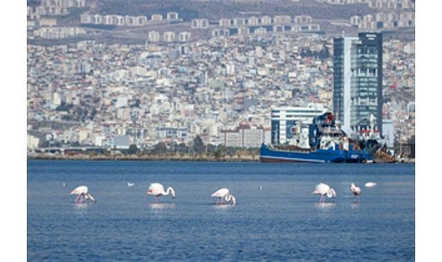İzmir'de kiralar 20 kat arttı