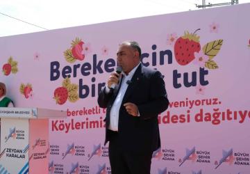 Pozantılı Çiftçilere 900 Bin Çilek Fidesi Daha Ulaştırıldı