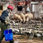 Büyükşehir ekipleri tüm canlılar için aynı özveriyle çalışıyor