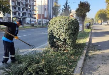 Adıyaman Belediyesi’nden kış öncesi ağaç budama ve bakım çalışması - Videolu Haber