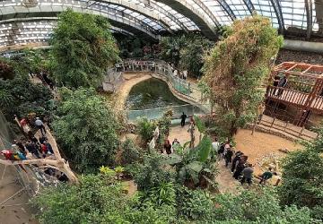 İzmir Doğal Yaşam Parkı'na ziyaretçi akını