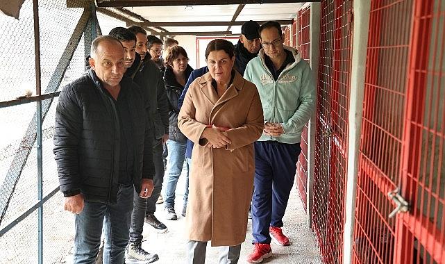 Başkan Fıçı hayvanseverlerle buluştu: Can dostlarımız yalnız değil!