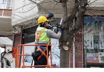 Budama Çalışmalarından Yakacak Elde Ediliyor