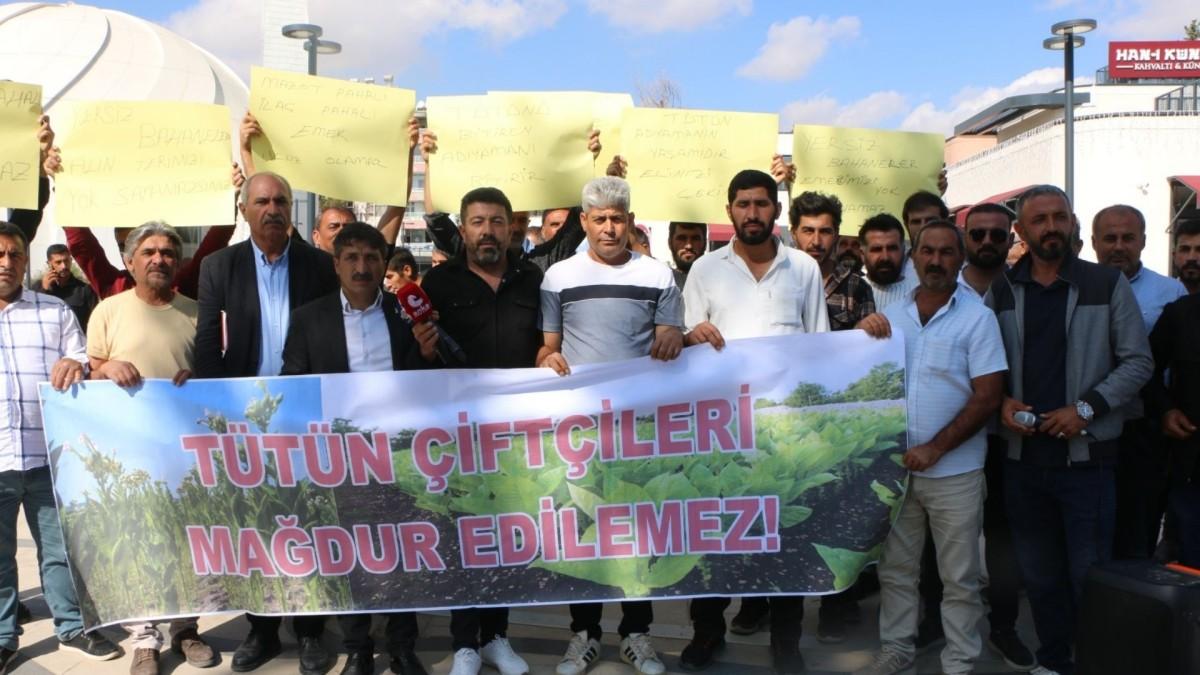 Adıyaman’da tütün üreticileri ‘sahipsiziz’ diyerek meydana indi - Videolu Haber