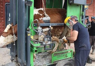 Büyükşehir'den kırsalda üreticiye destek