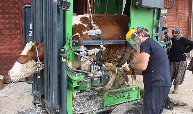Büyükşehir'den kırsalda üreticiye destek