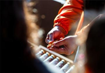 Tohumdan toprağa, topraktan sofraya