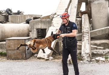 Momo enkaz için eğitiliyor