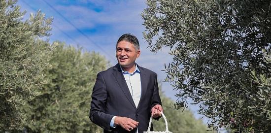 Aliağa'da Zeytinin Bereketi 4.Zeytin Hasat Şenliği'nde Kutlandı