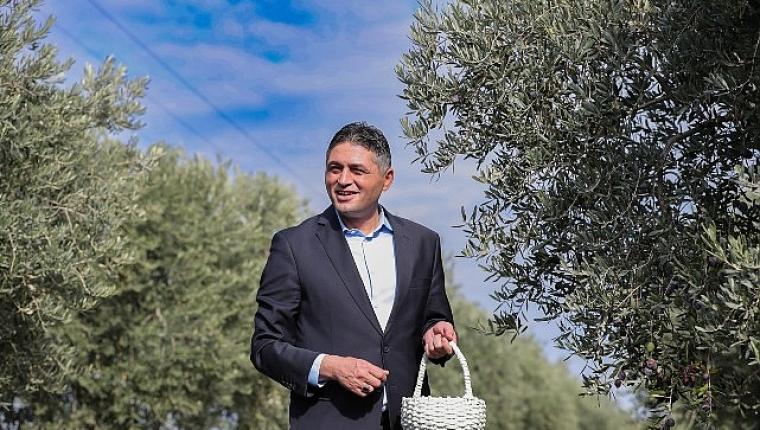 Aliağa'da Zeytinin Bereketi 4.Zeytin Hasat Şenliği'nde Kutlandı