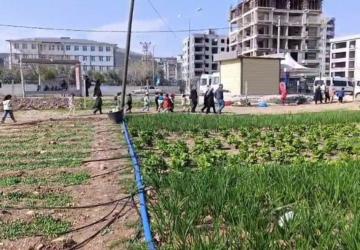 Öğrenciler, Adıyaman Belediyesi’nin sebze bahçesinde incelemelerde bulundu - Videolu Haber