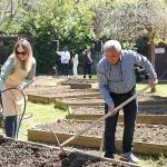 Kadıköy Bostanları'nda Yaz Dönemi Başladı
