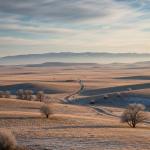 Türkiye'nin en az nüfuslu köyleri belli oldu! En kalabalık köy Adıyaman’dan çıktı