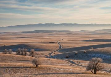Türkiye'nin en az nüfuslu köyleri belli oldu! En kalabalık köy Adıyaman’dan çıktı
