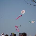 Edremit Belediyesi Geleneksel Uçurtma Şenliği yapıldı