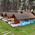 Ünye Çınarsuyu Tabiat Parkı’nda Hizmet Kalitesi Artıyor