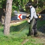 Kartepe Belediyesi Park ve Bahçeler Müdürlüğü'nden Yoğun Çalışma