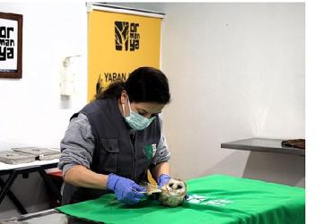 Bu merkez yaban hayvanlarına umut oluyor