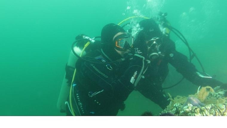 Büyükakın: “Dipten diriliş tüm Marmara'ya yayılıyor"