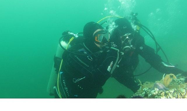 Büyükakın: “Dipten diriliş tüm Marmara'ya yayılıyor"