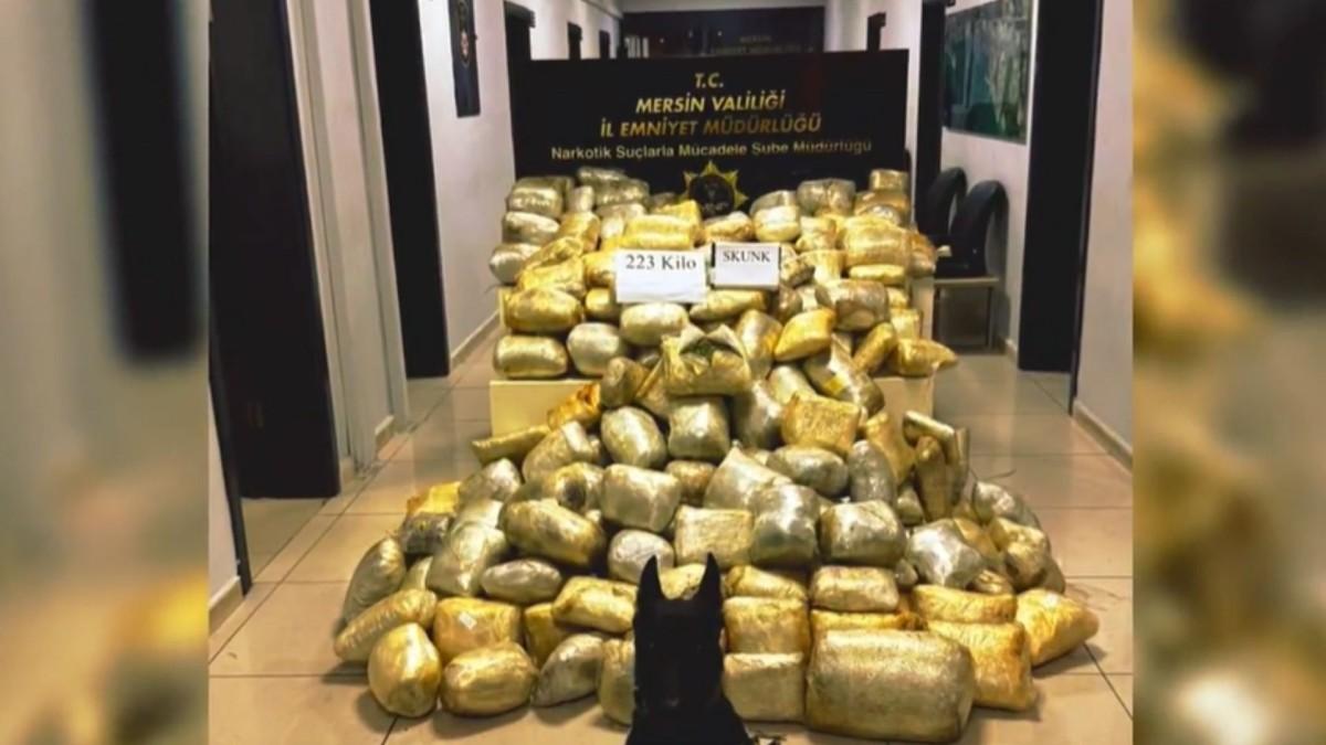 Bakan Yerlikaya: ‘Mersin ve Erzurum’da 447,5 kilo uyuşturucu ele geçirildi’ - Videolu Haber