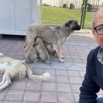 Adıyaman Nemrut Rotary Kulübü, ‘sokaktaki canlara’ umut oldu