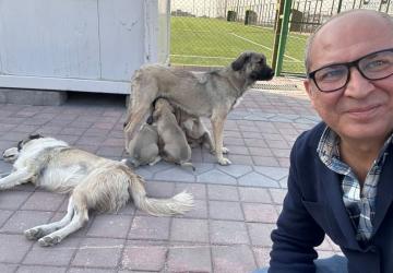 Adıyaman Nemrut Rotary Kulübü, ‘sokaktaki canlara’ umut oldu