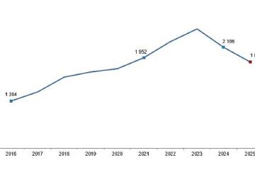 Kırmızı Et Üretim İstatistikleri, 2025