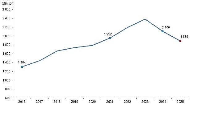 Kırmızı Et Üretim İstatistikleri, 2025