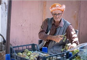 Beydağ incirinin katma değeri artıyor