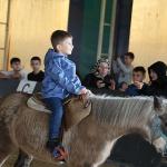 Kartepe Belediyesi Atlı Binicilik Kulübü'ne Yoğun İlgi
