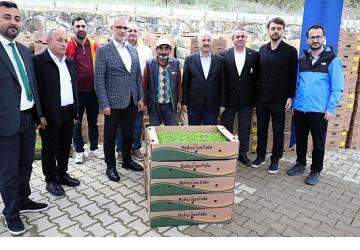 Gebzeli çiftçiye 500 bin sebze fidesi