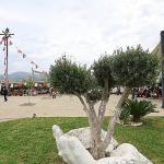 Yazar Yekta Kopan Efes Tarlası Yaşam Köyü'nde okurlarıyla buluşuyor