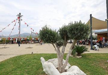 Yazar Yekta Kopan Efes Tarlası Yaşam Köyü'nde okurlarıyla buluşuyor